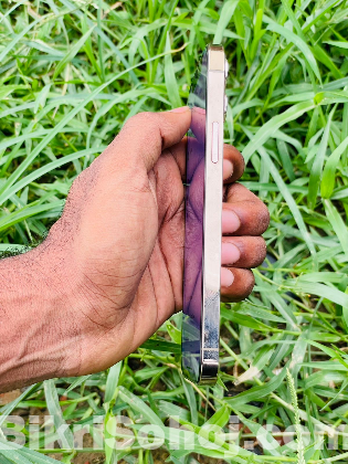 Iphone 12 Pro